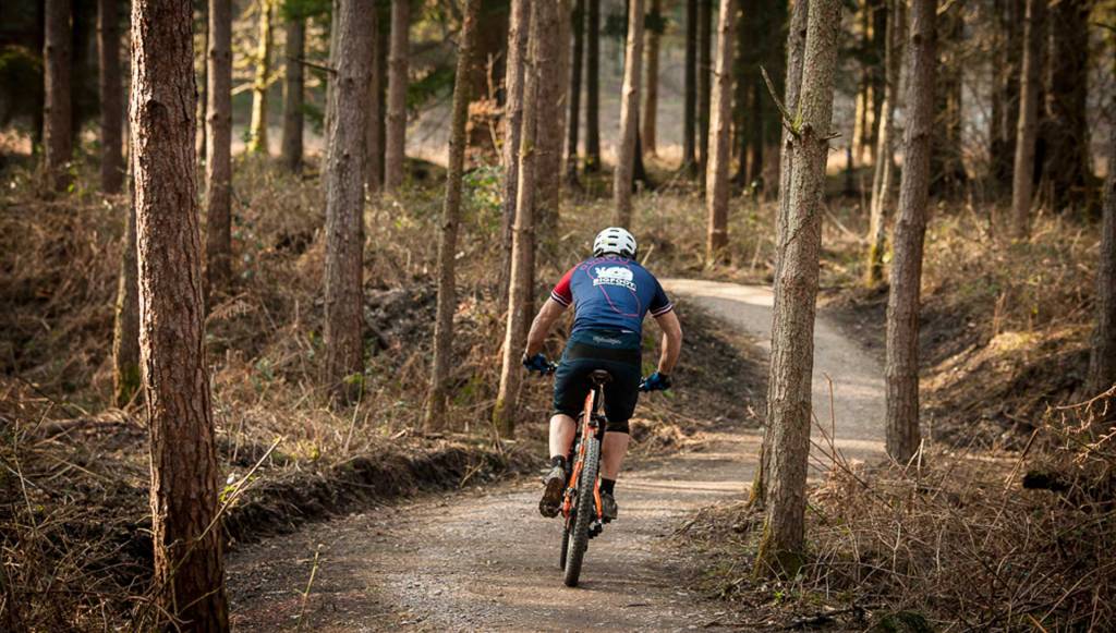 forestofdean_cycling