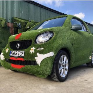 Easigrass Easigrass