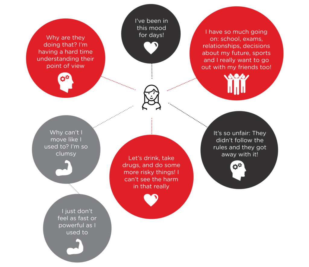 Mid adolescence diagram