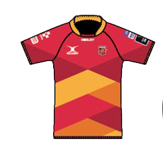 Dragons Dragons Away Kit