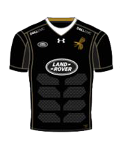 Wasps Wasps Home Kit