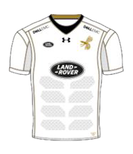 Wasps Wasps Away Kit