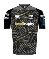 Ospreys Ospreys Home Kit