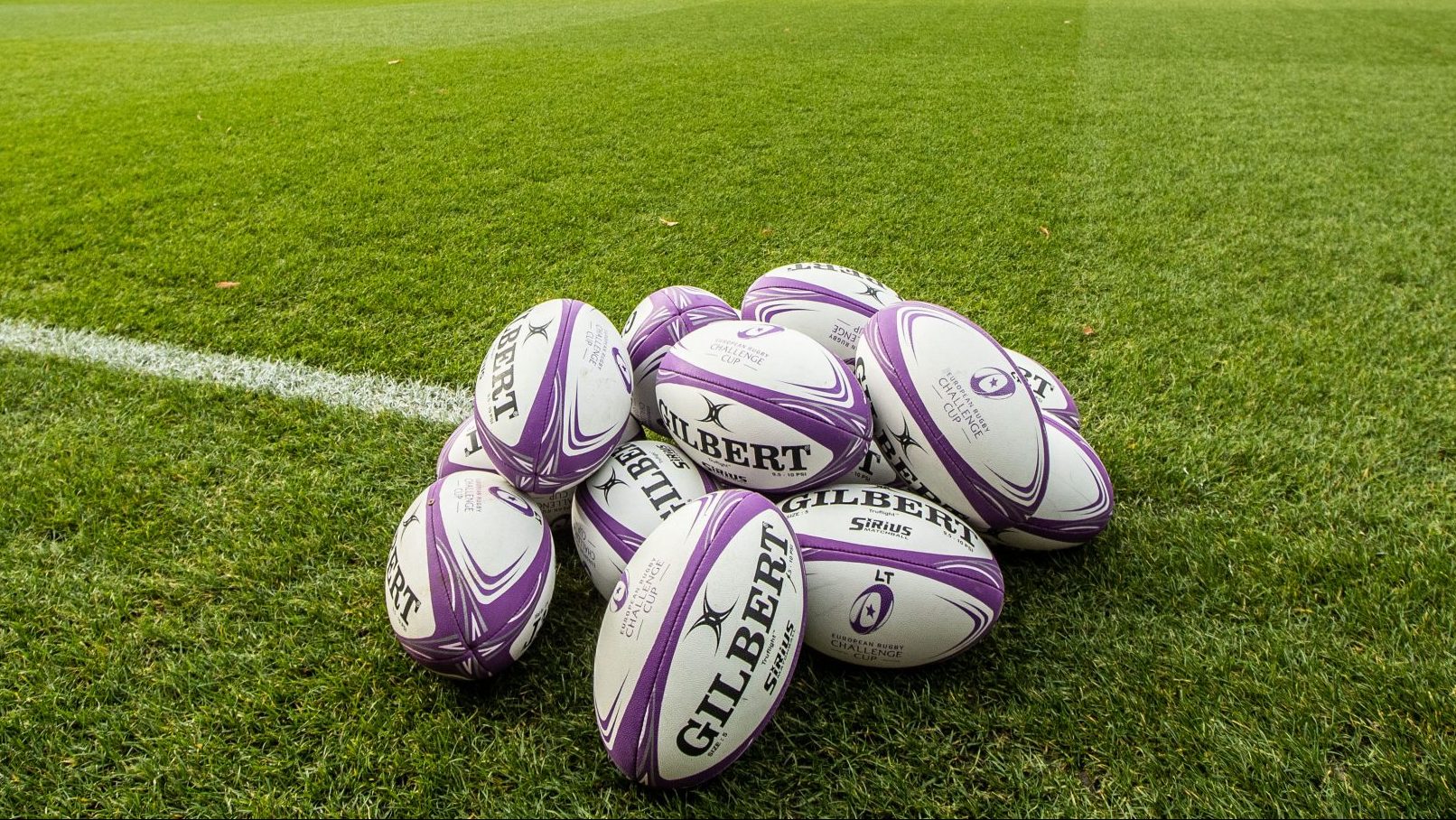 European Professional Club Rugby | Benetton Rugby v Agen â match cancelled