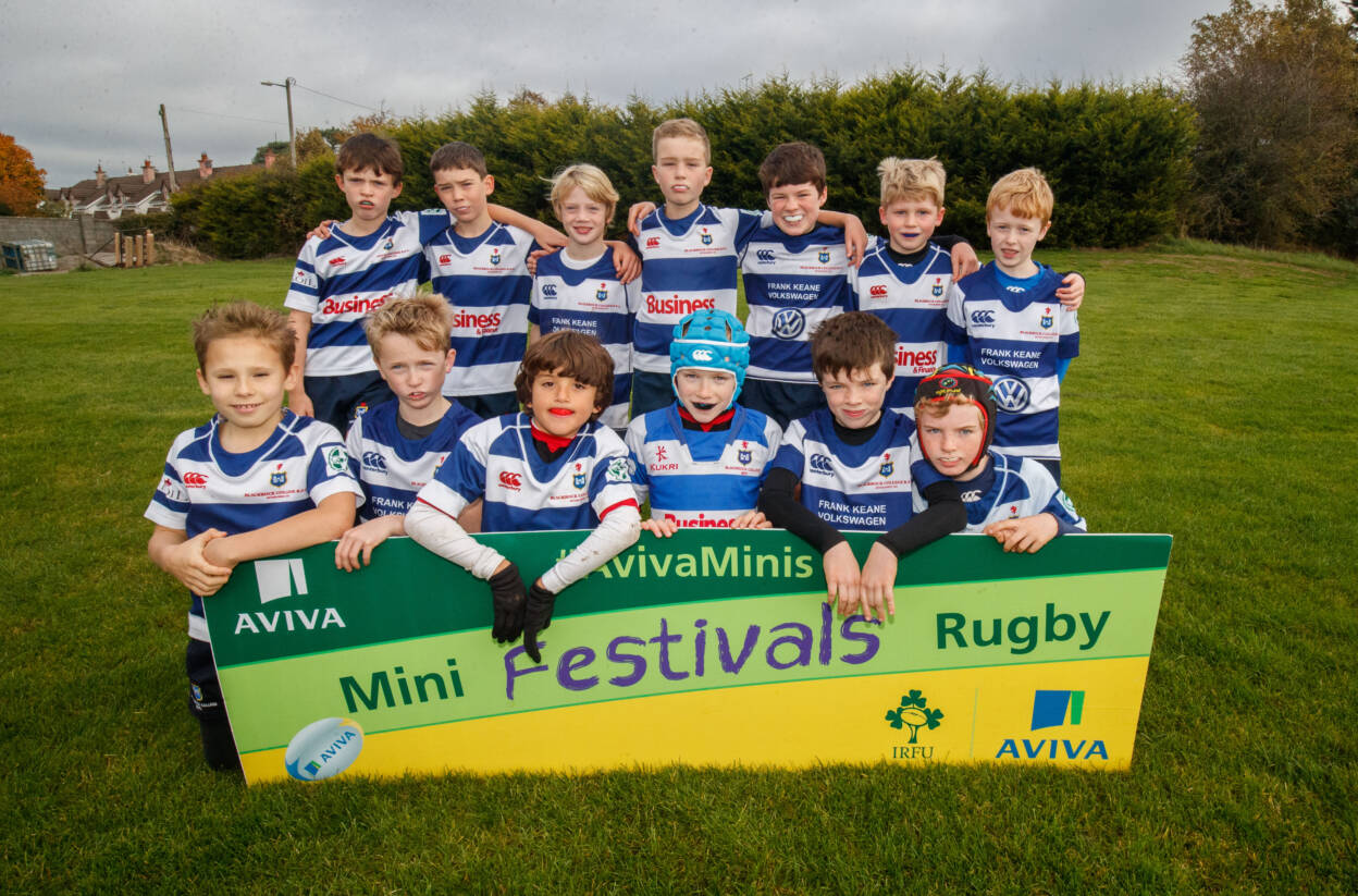 Irish Rugby Aviva Mini Rugby Festivals