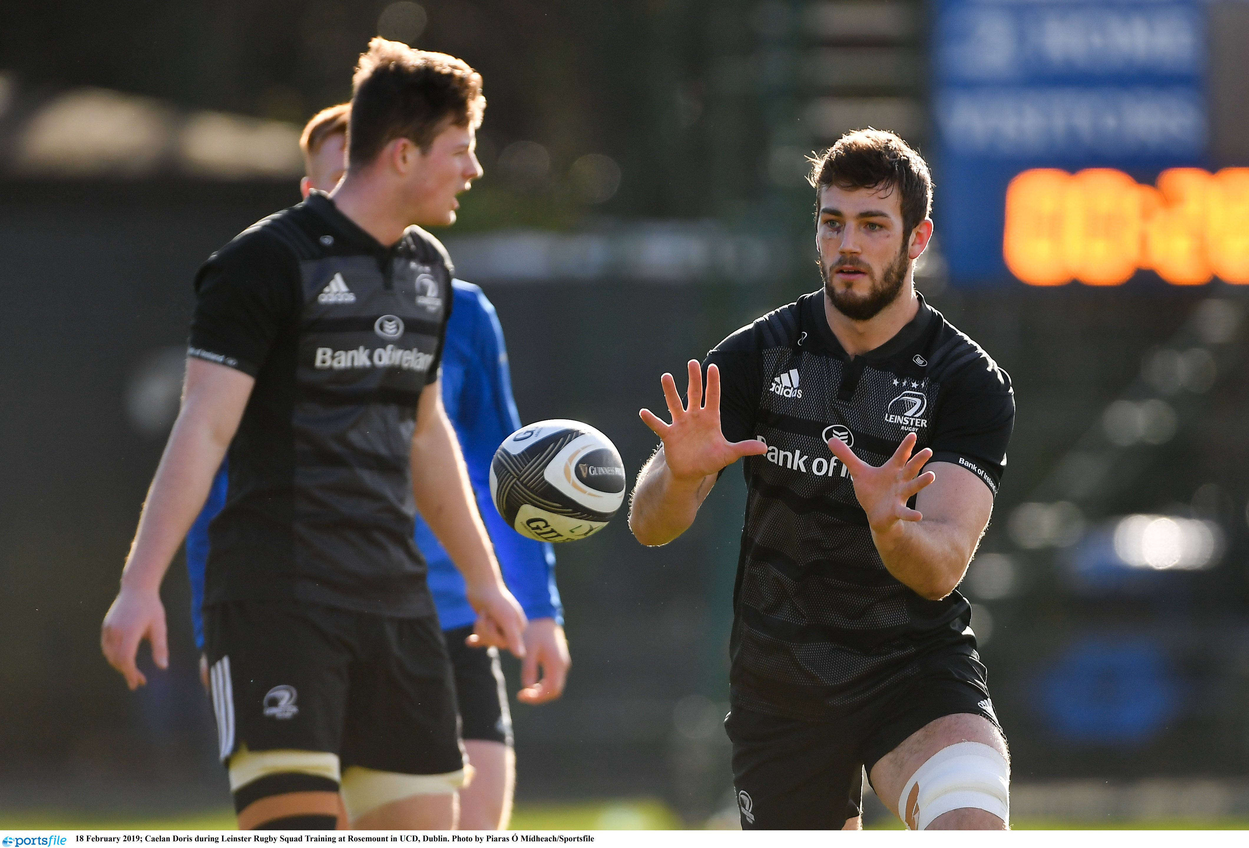 Gallery: Leinster squad prepare for the visit of Southern Kings