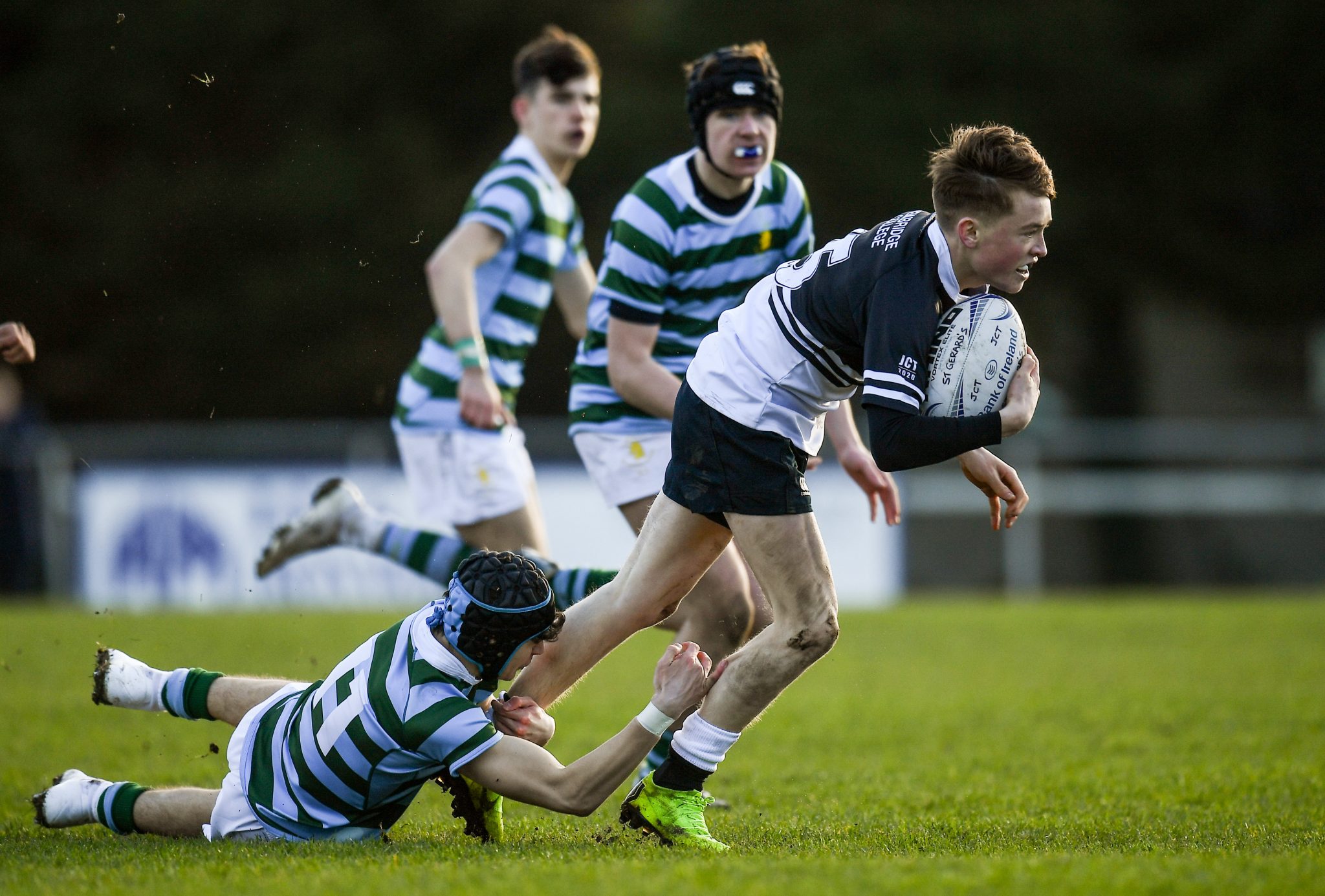 Leinster Rugby Category Leinster Schools Junior Cup