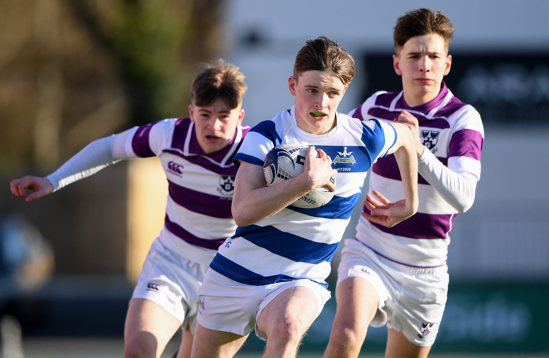 Leinster Rugby Category Leinster Schools Junior Cup