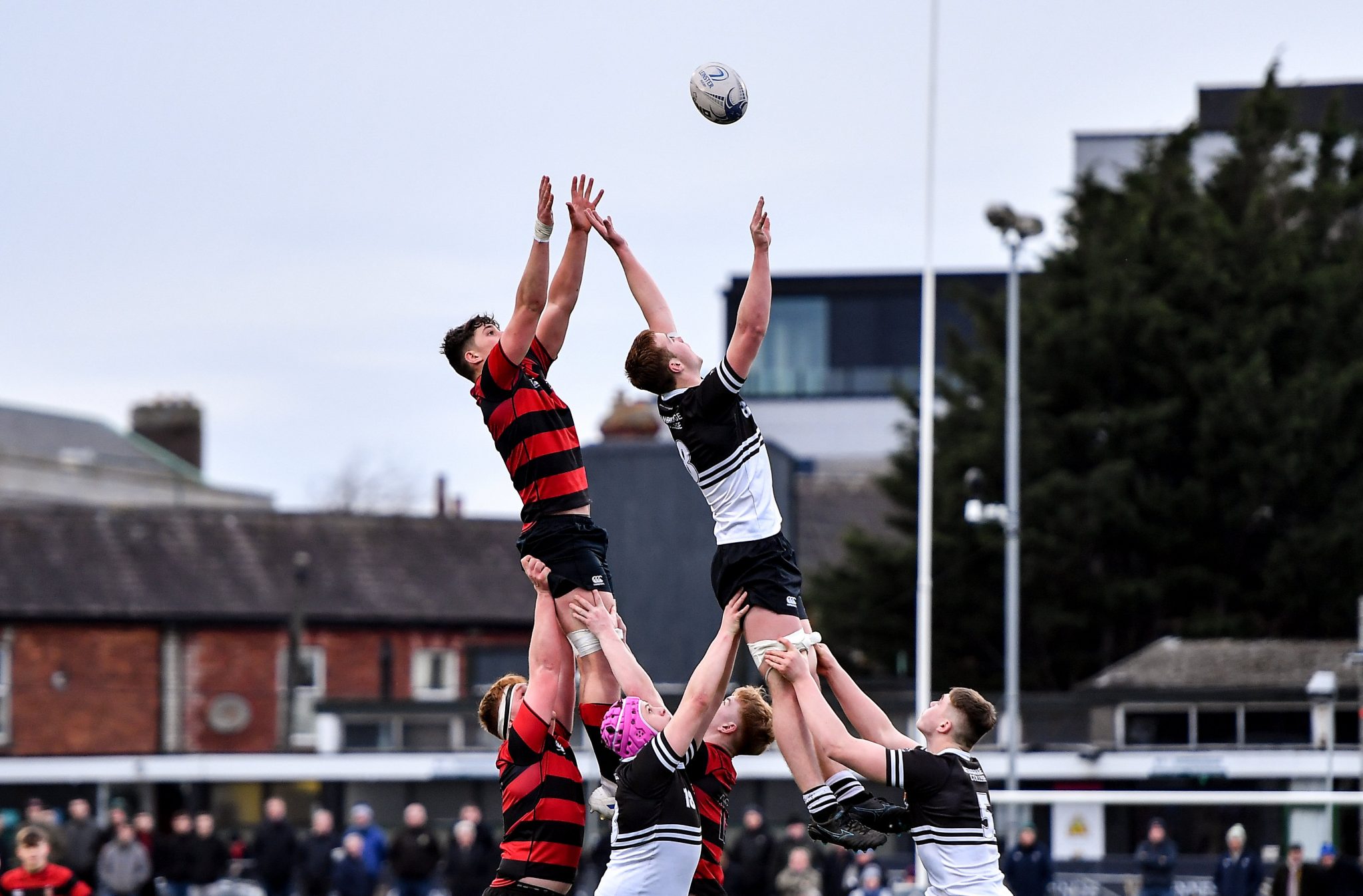 Leinster Rugby History made as Temple Carrig claim first Fr Godfrey