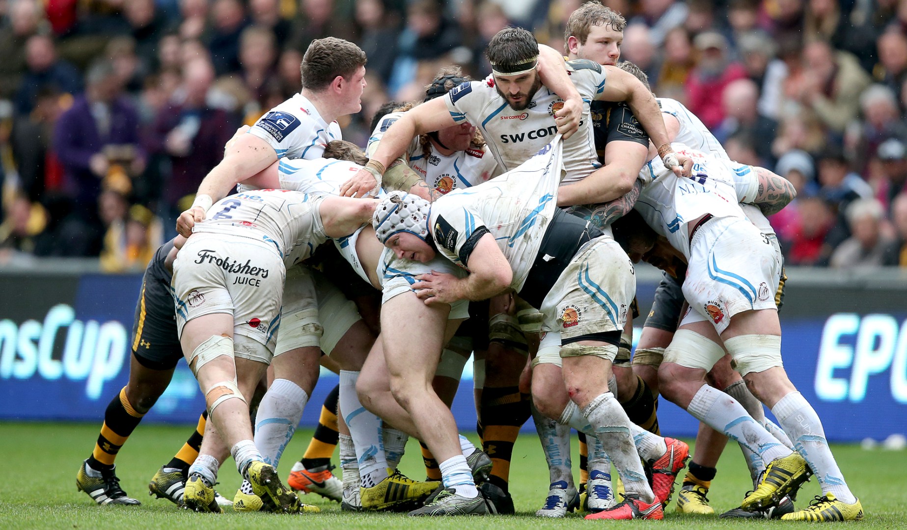 LionsWatch Club Profile: Exeter Chiefs LionsWatch Club Profile: Exeter Chiefs