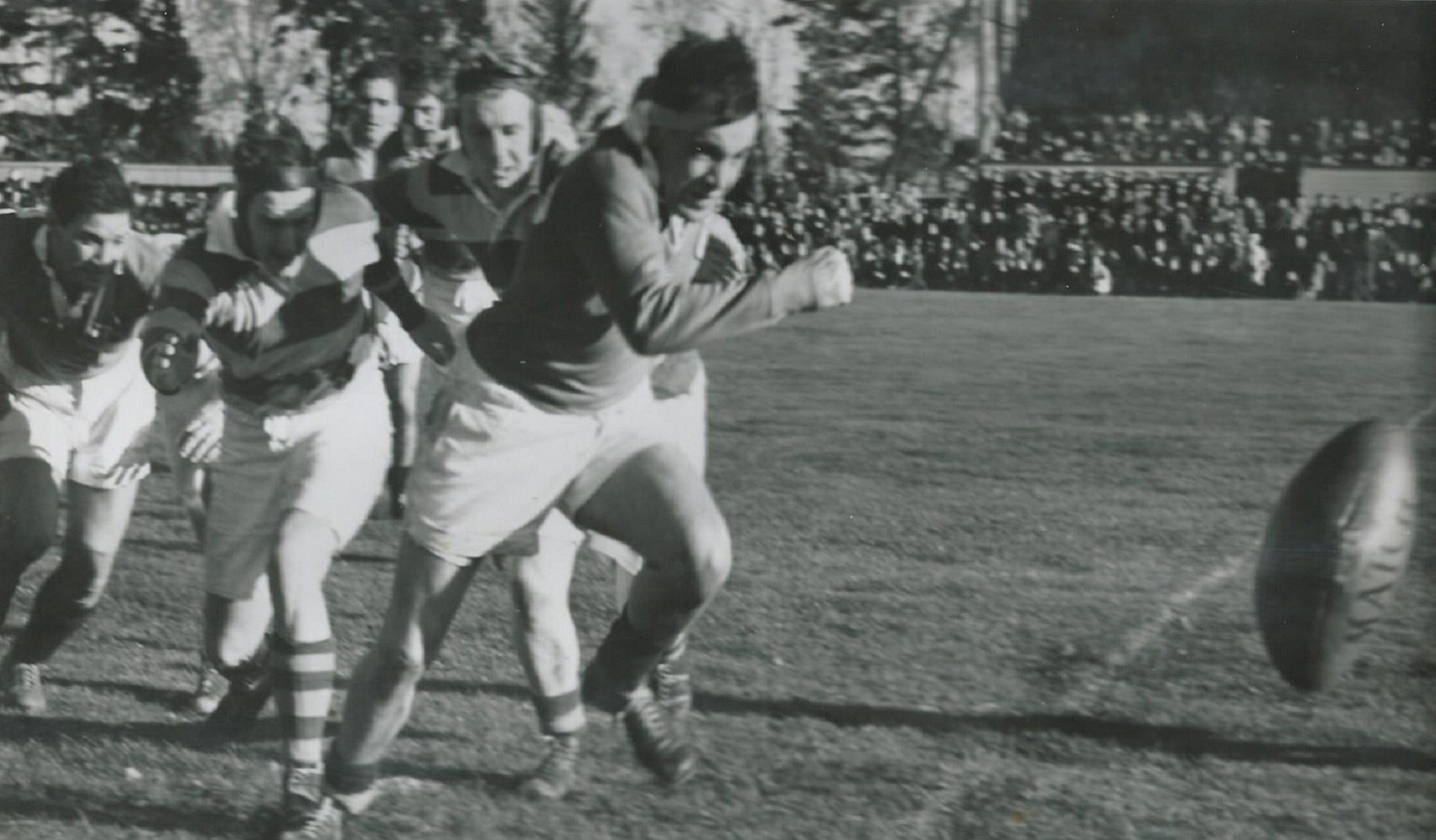 Your Club Your Lions: Malone RFC Your Club Your Lions: Malone RFC