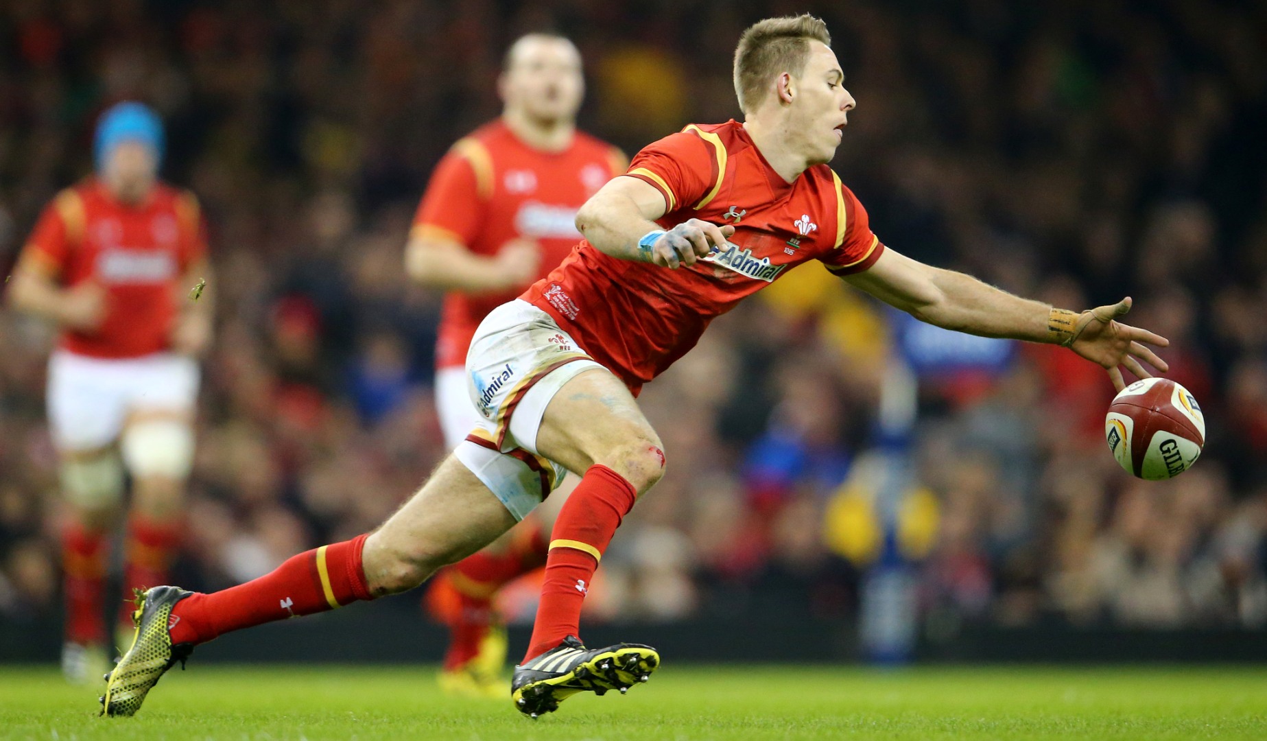 LionsWatch: Williams shines as Wales beat Argentina LionsWatch: Williams shines as Wales beat Argentina