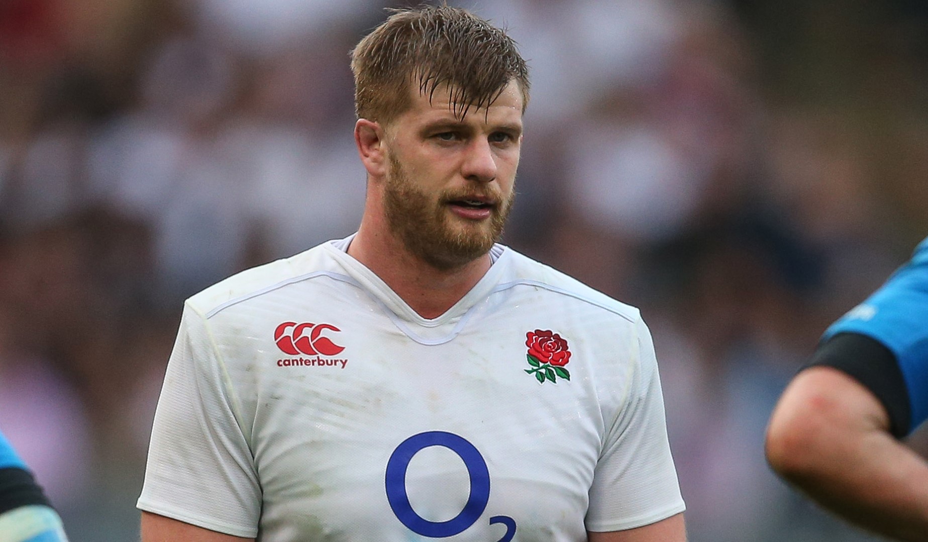 LionsWatch: Kruis returns as England prepare for Pumas LionsWatch: Kruis returns as England prepare for Pumas