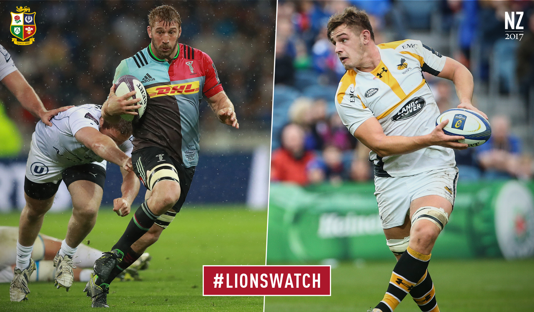 LionsWatch: Harlequins look to topple Aviva Premiership’s top dogs LionsWatch: Harlequins look to topple Aviva Premiership’s top dogs