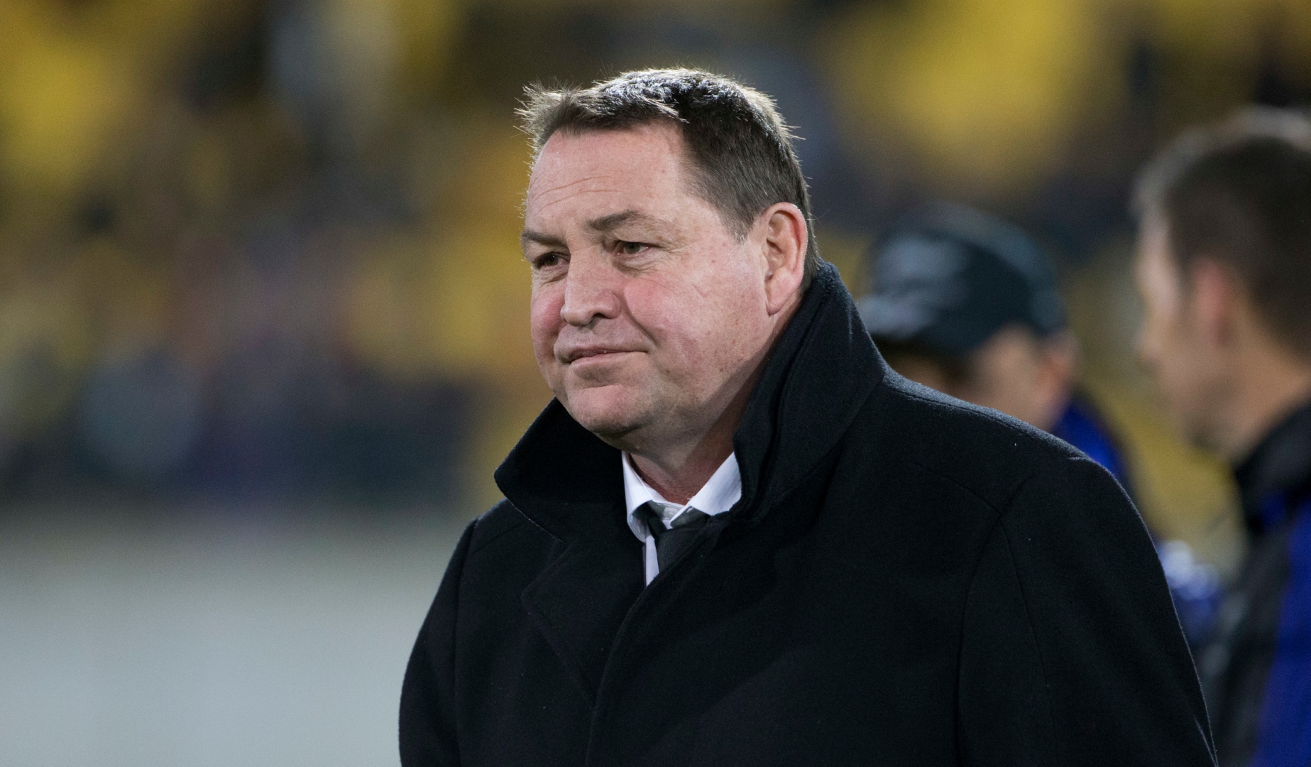 Steve Hansen Steve Hansen