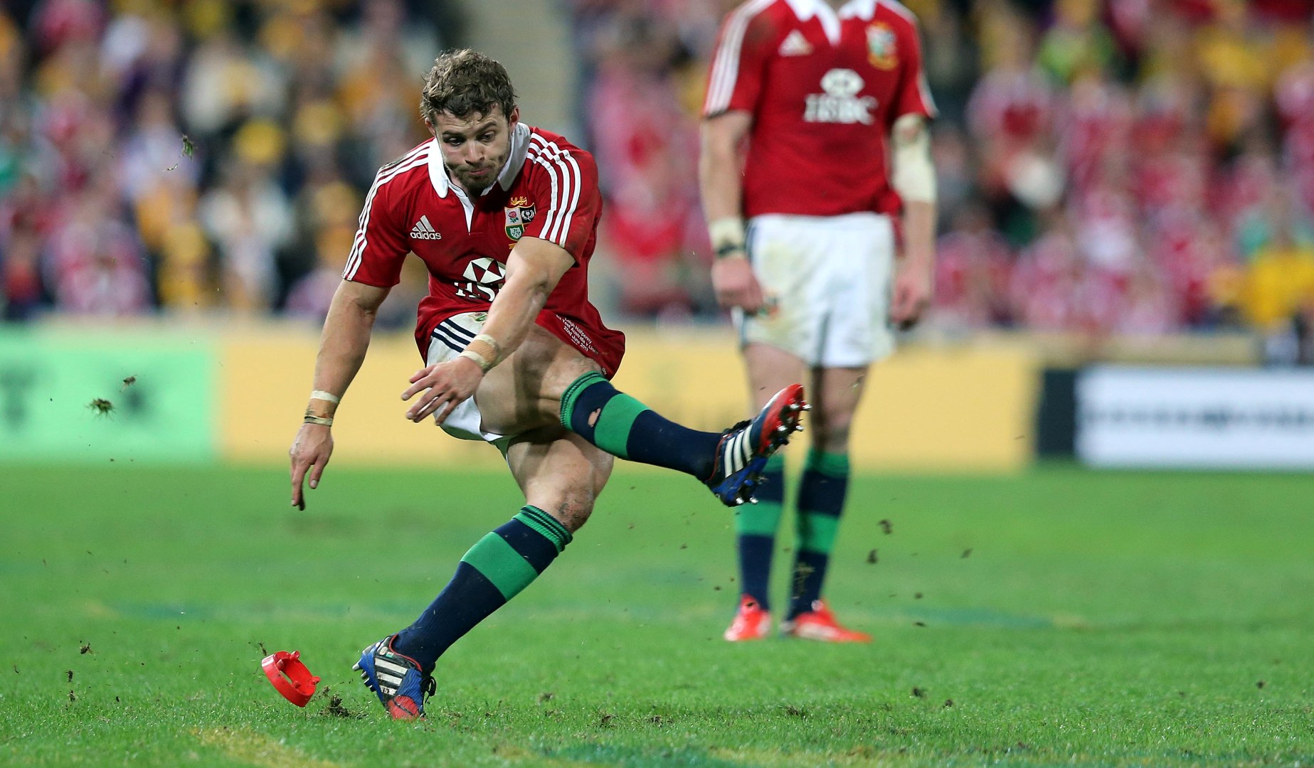 LionsWatch: Halfpenny returns for Wallaby clash LionsWatch: Halfpenny returns for Wallaby clash