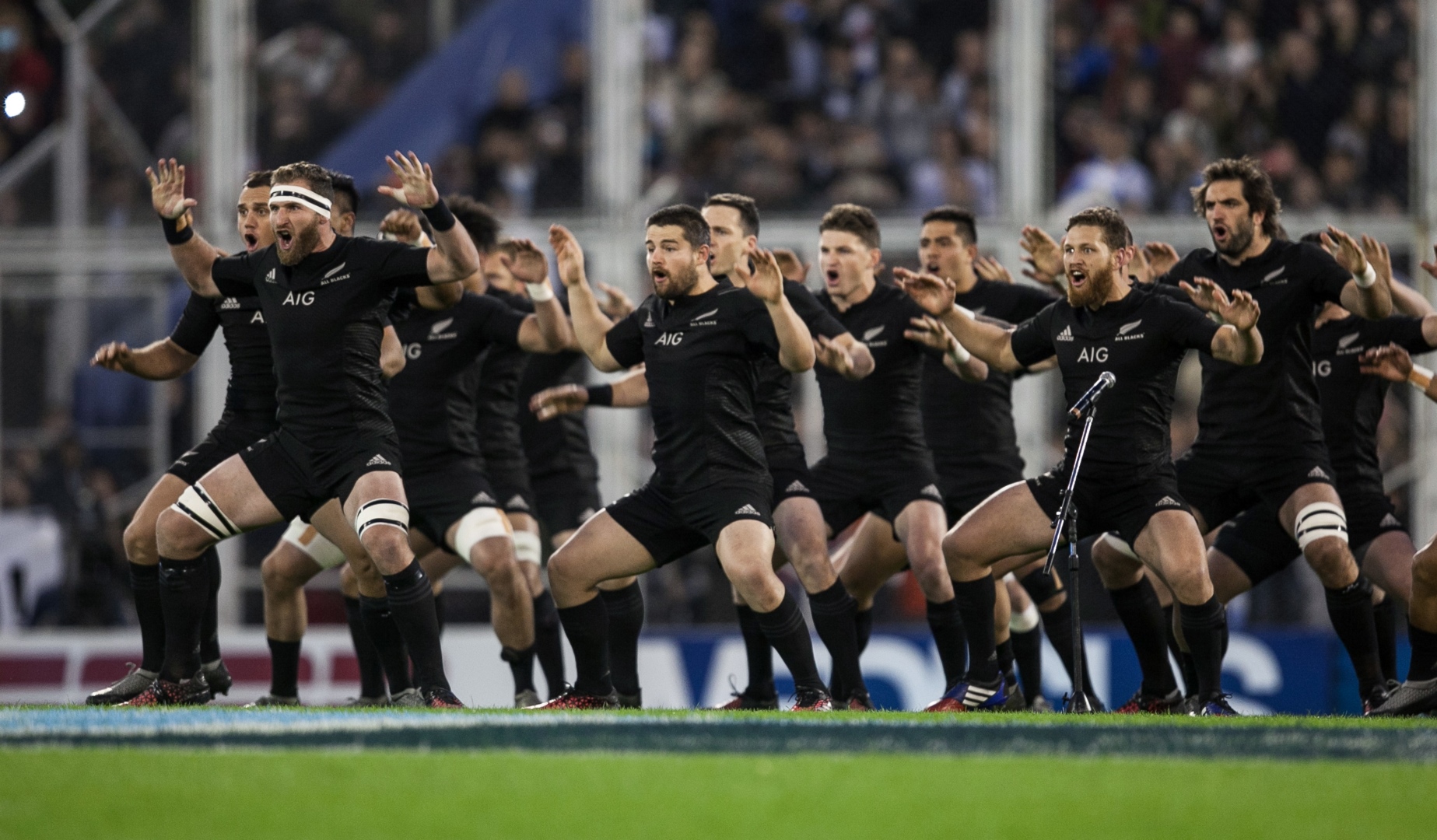 LionsWatch: Focus on the All Blacks LionsWatch: Focus on the All Blacks