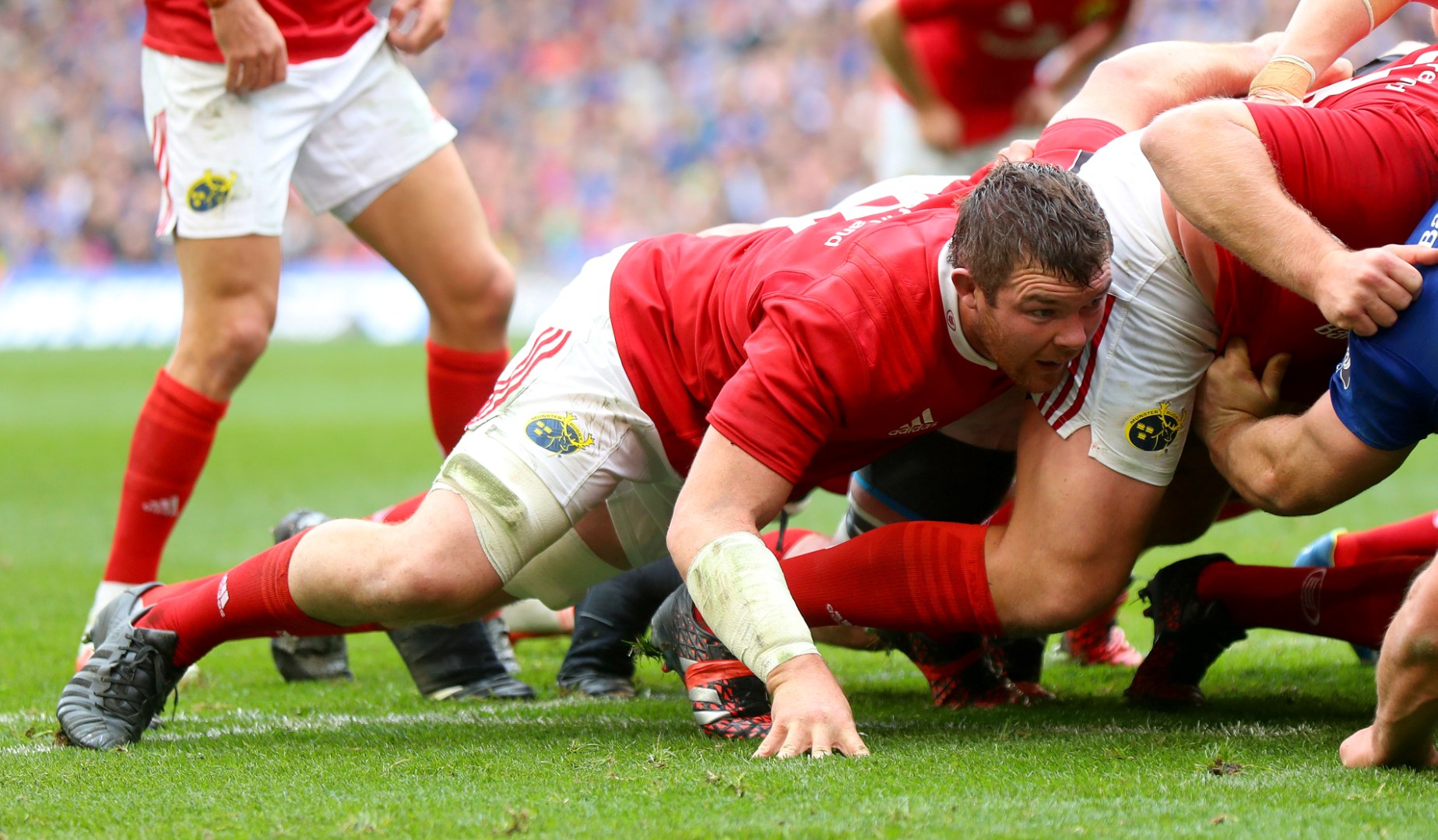 LionsWatch: European Champions Cup Round 1 LionsWatch: European Champions Cup Round 1