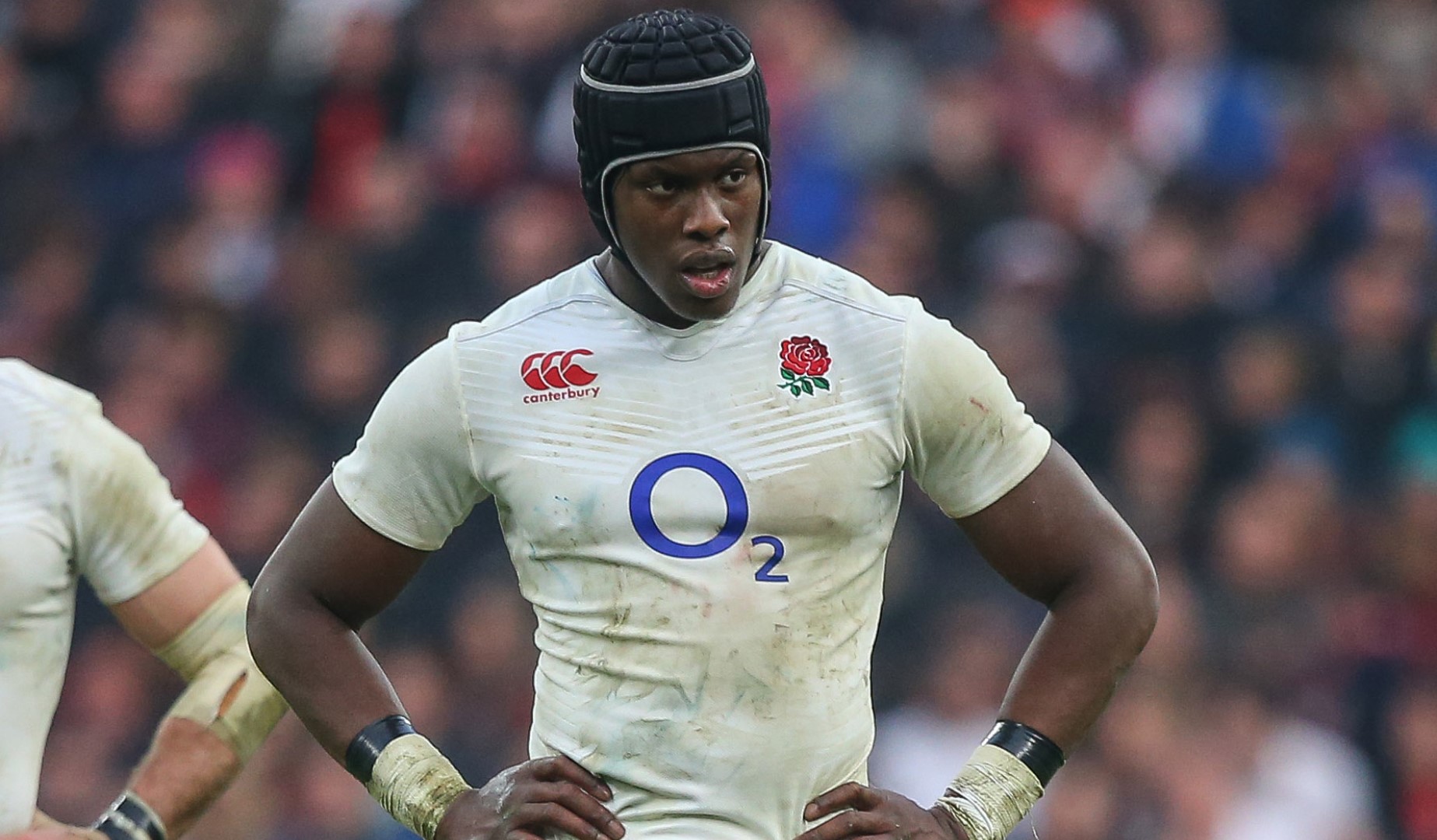 LionsWatch: England v France preview LionsWatch: England v France preview