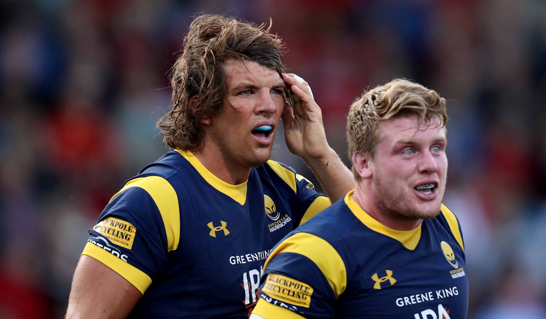 LionsWatch Club Profile: Worcester Warriors LionsWatch Club Profile: Worcester Warriors