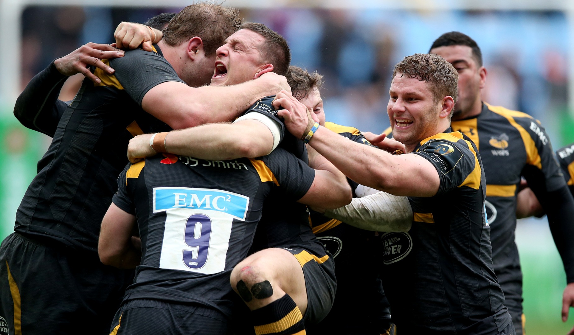LionsWatch Club Profile: Wasps LionsWatch Club Profile: Wasps