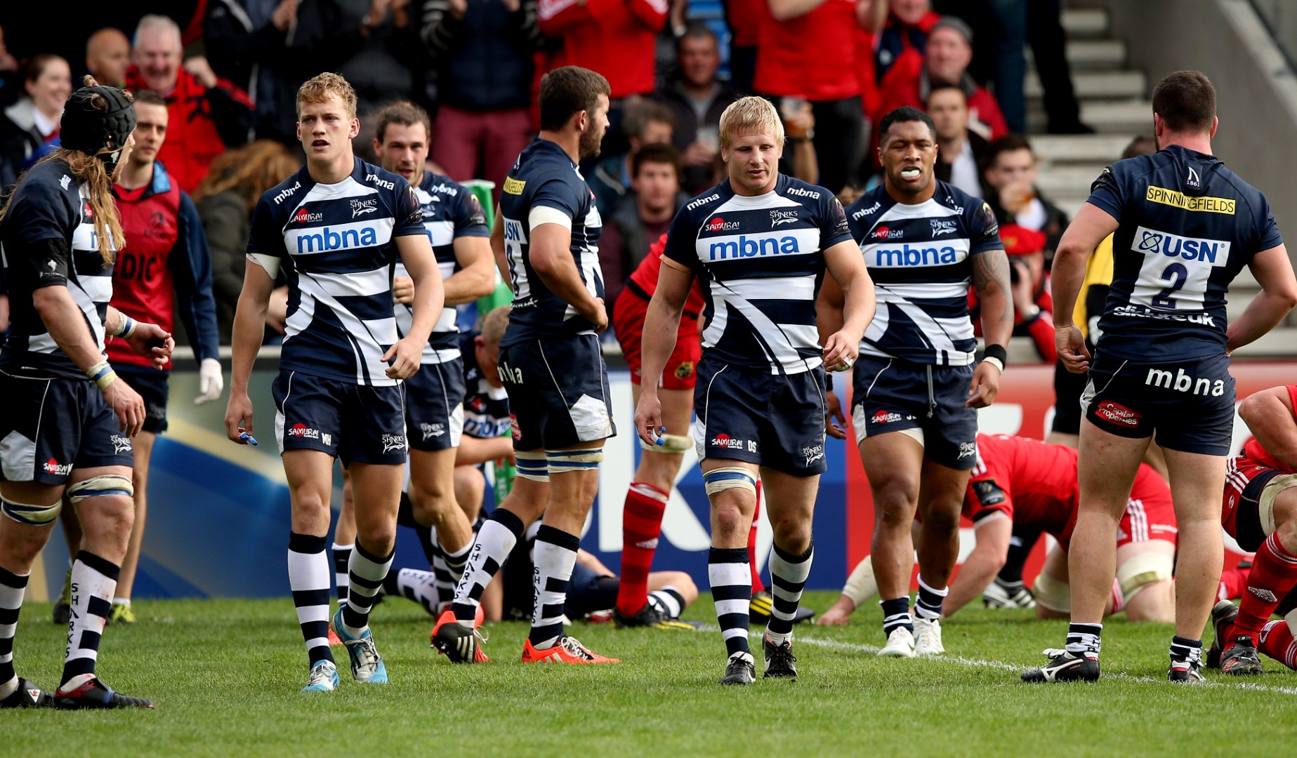 LionsWatch Club Profile: Sale Sharks LionsWatch Club Profile: Sale Sharks