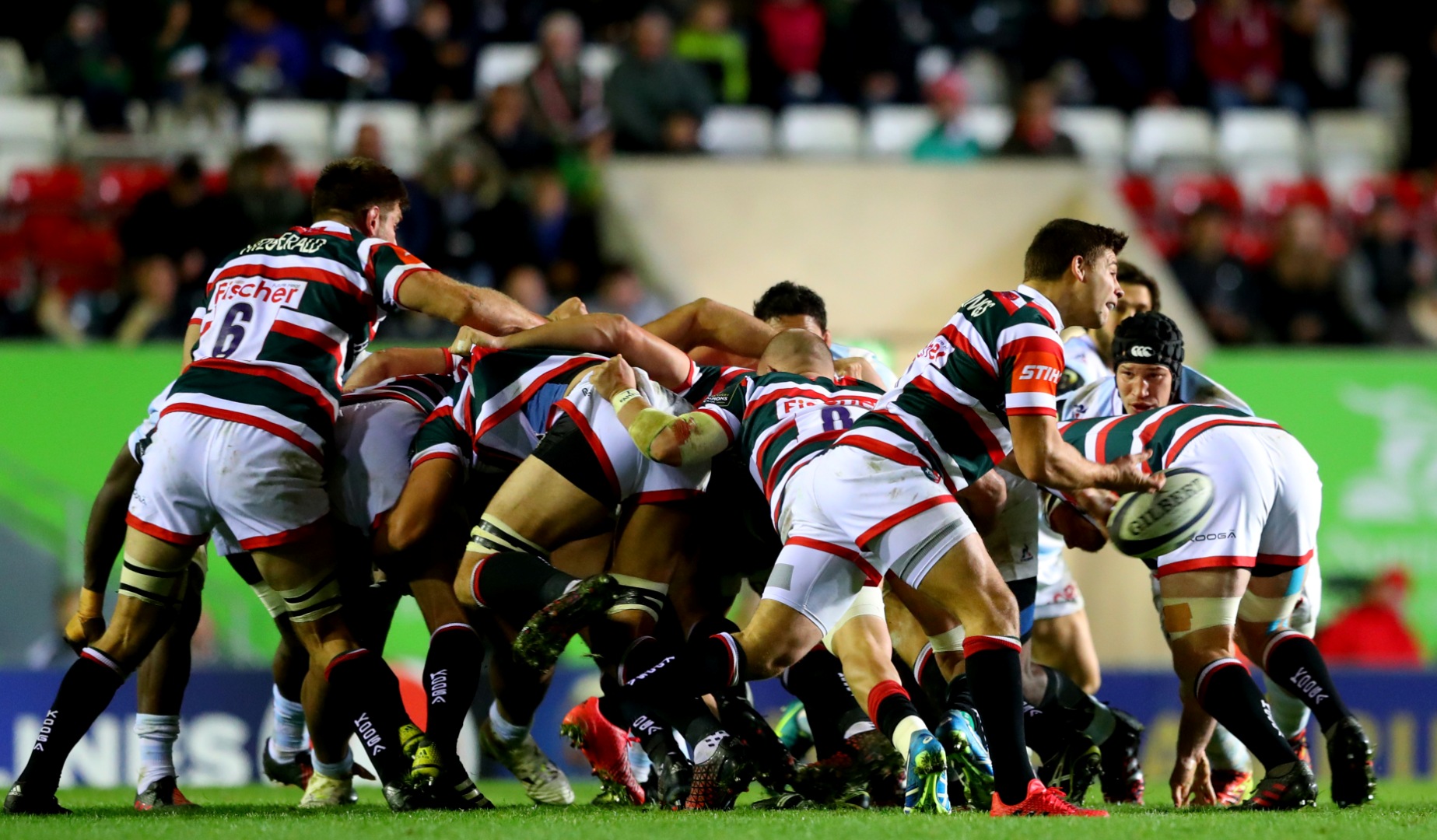 LionsWatch Club Profile: Leicester Tigers LionsWatch Club Profile: Leicester Tigers