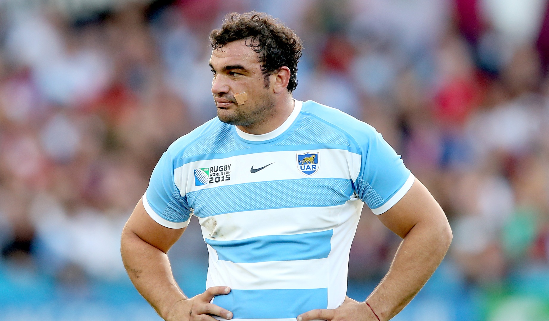 Lions Scout: Pumas bring down the Boks Lions Scout: Pumas bring down the Boks