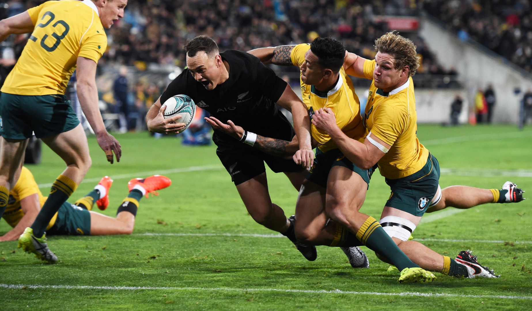 Cheika hopes Hodge can derail All Blacks history tilt Cheika hopes Hodge can derail All Blacks history tilt