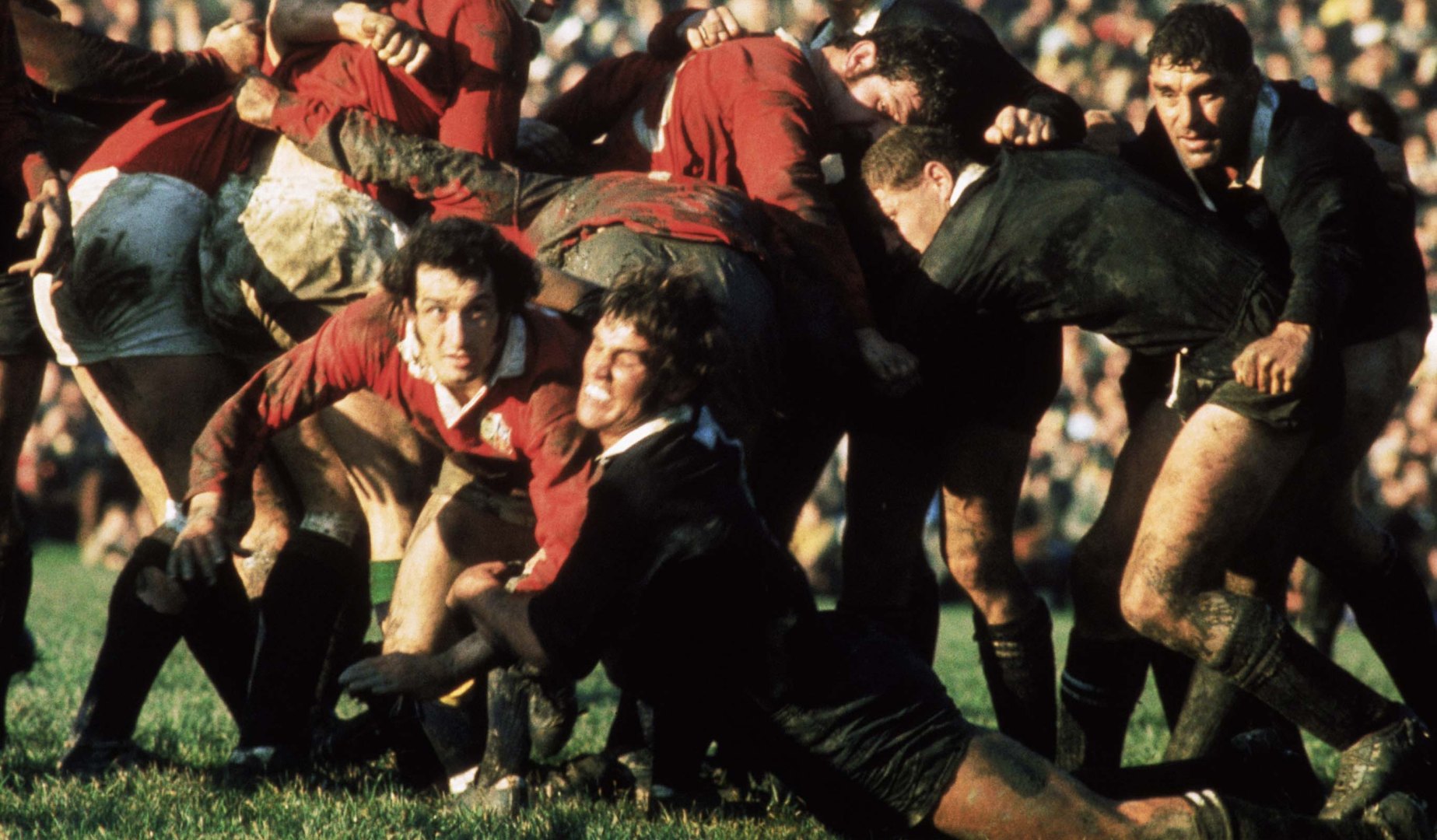 Lions Legends: Sir Gareth Edwards Lions Legends: Sir Gareth Edwards