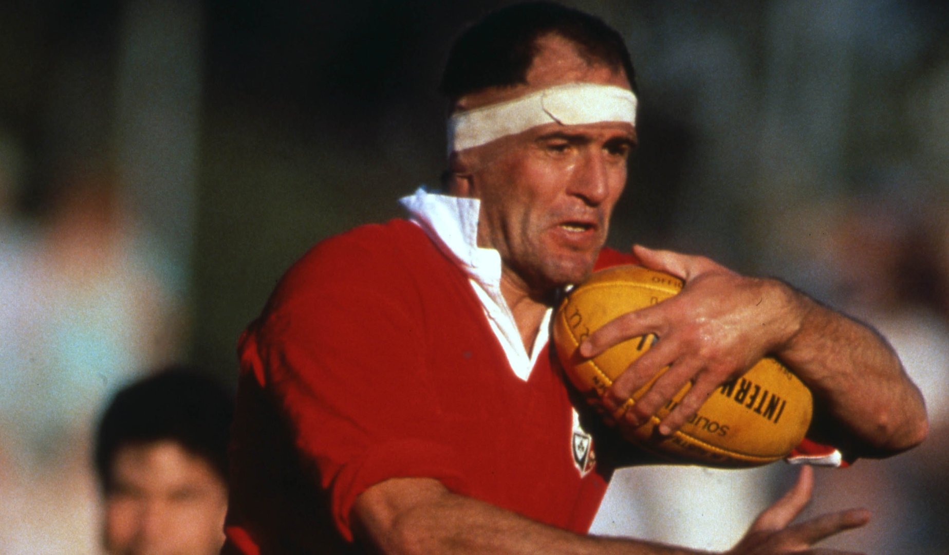 Your Club Your Lions: Plymouth Albion RFC Your Club Your Lions: Plymouth Albion RFC