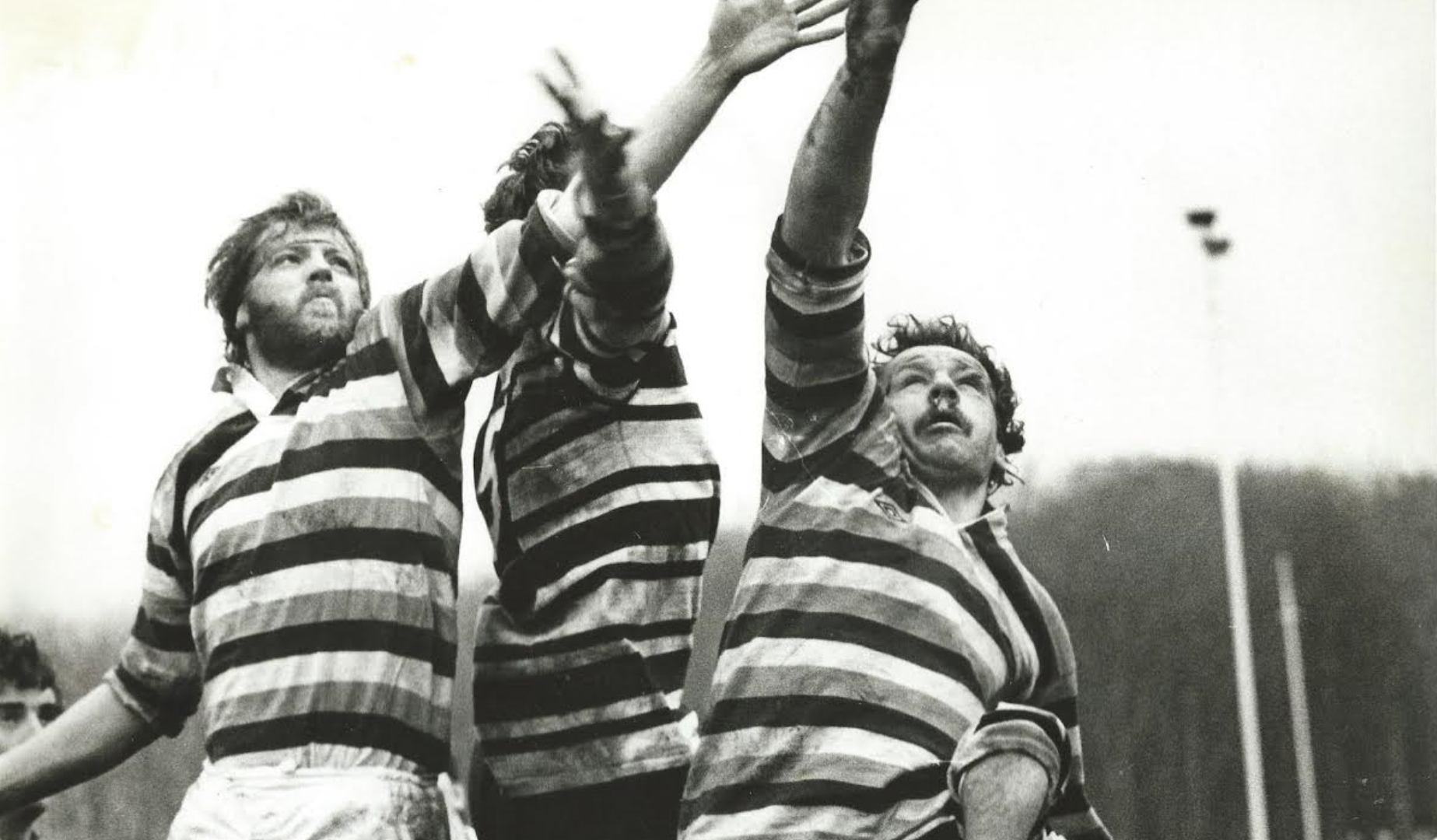 Your Club Your Lions: Fylde RFC Your Club Your Lions: Fylde RFC
