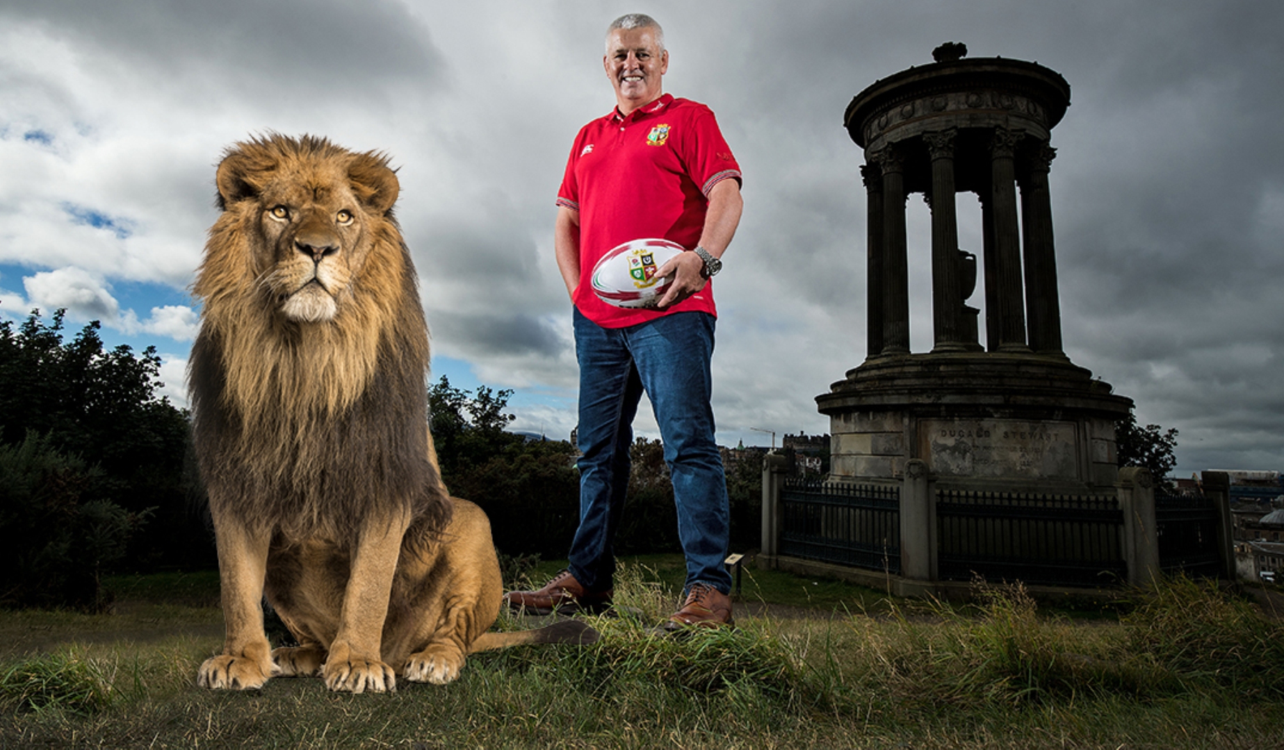 Real life lion to lead team onto pitch in New Zealand Real life lion to lead team onto pitch in New Zealand