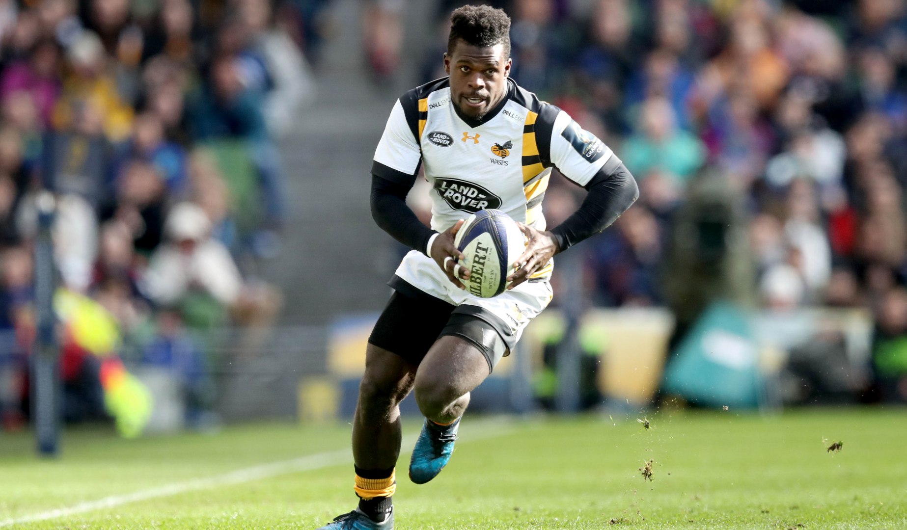LionsWatch: Wasps’ Wade celebrates century in style LionsWatch: Wasps’ Wade celebrates century in style