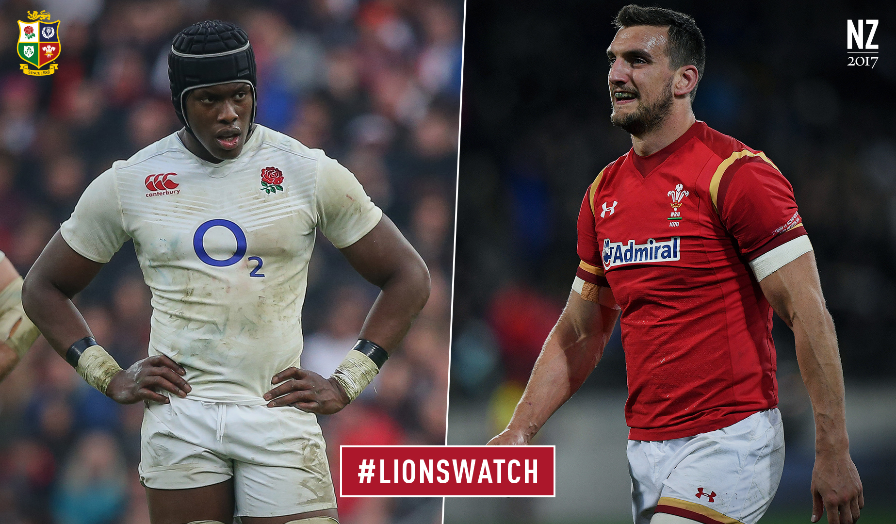 LionsWatch: Wales v England LionsWatch: Wales v England