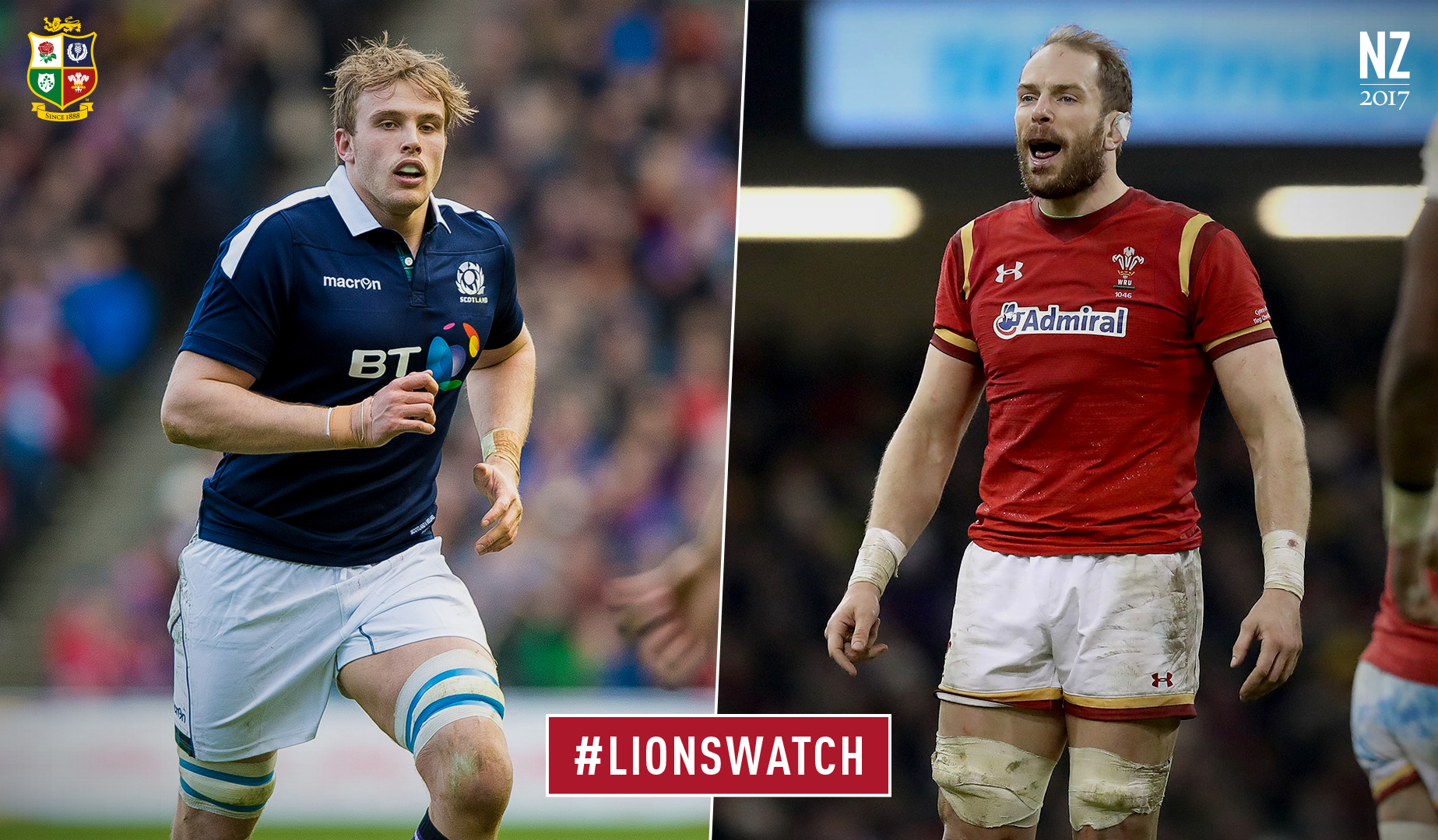 LionsWatch: Scotland v Wales preview LionsWatch: Scotland v Wales preview
