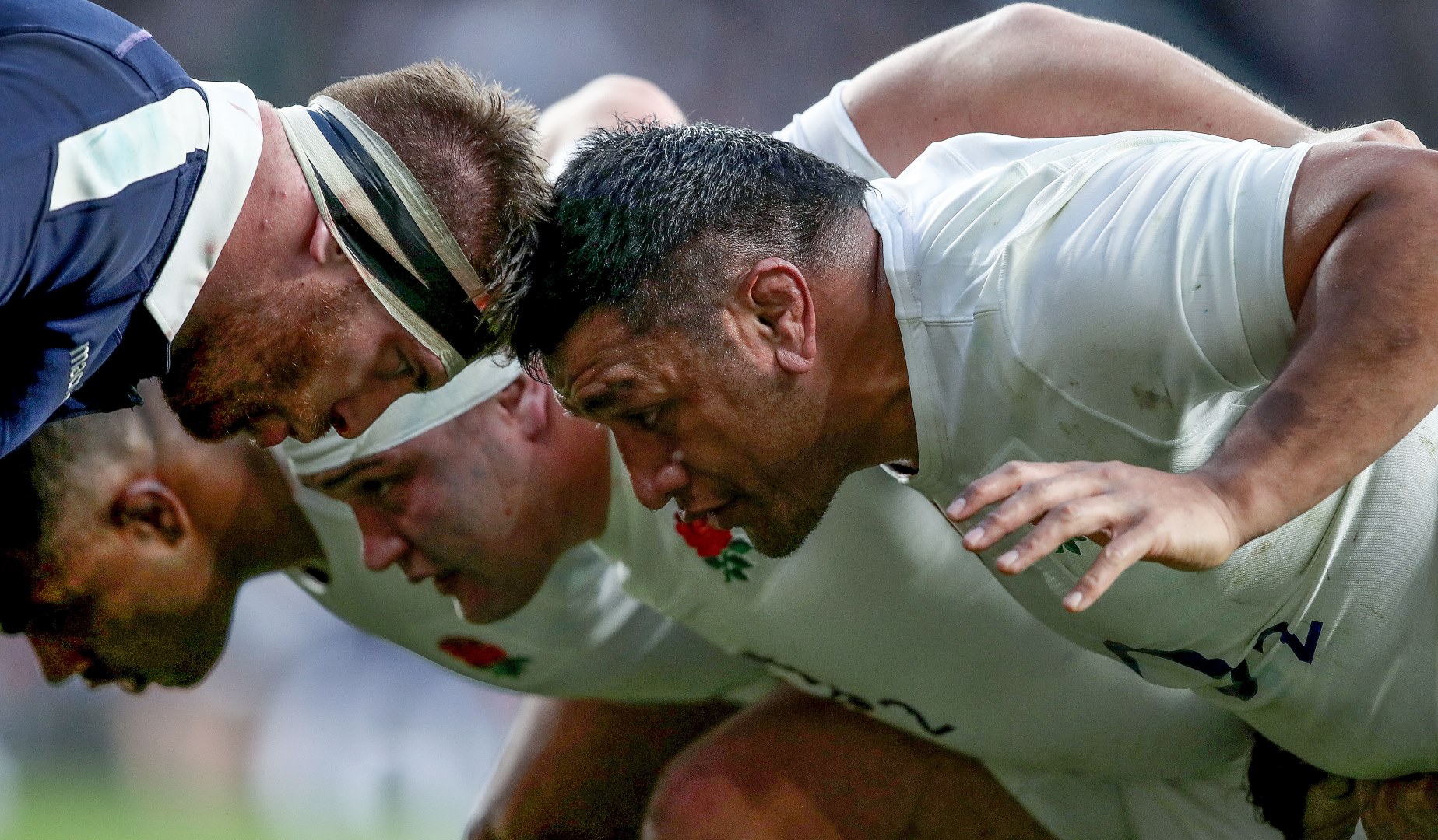 LionsWatch: Focus on loosehead props LionsWatch: Focus on loosehead props