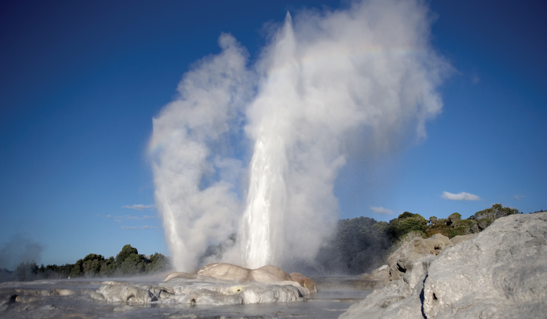 In Focus: Rotorua In Focus: Rotorua
