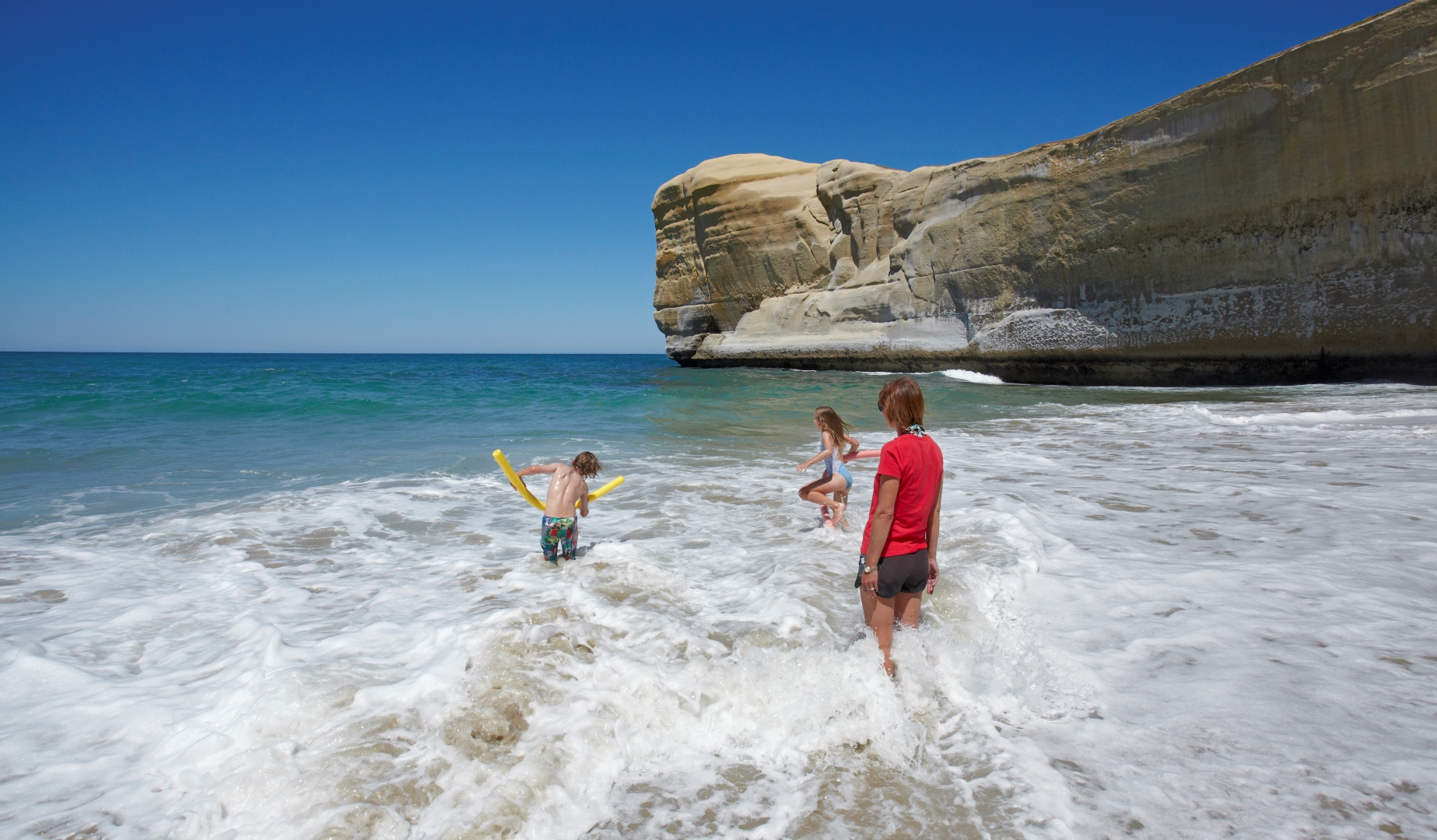 In Focus: Dunedin In Focus: Dunedin