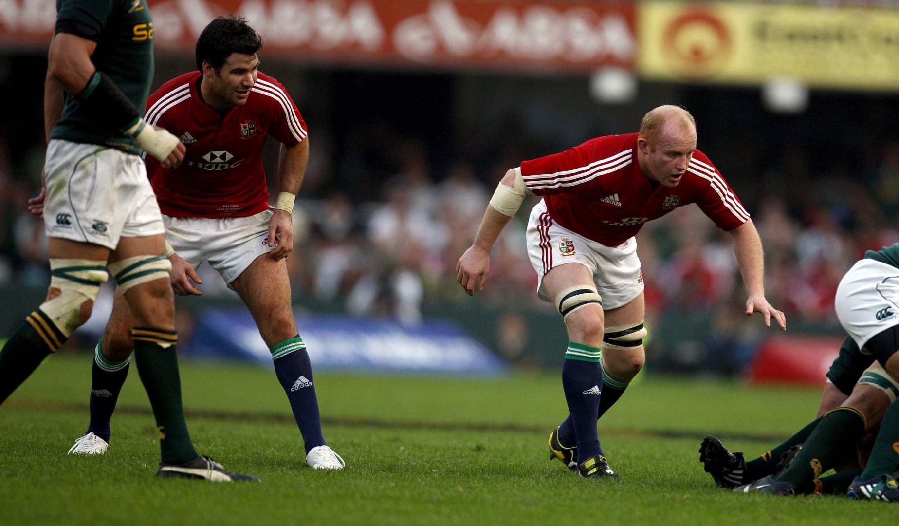 Becoming a Lion: Martyn Williams Becoming a Lion: Martyn Williams