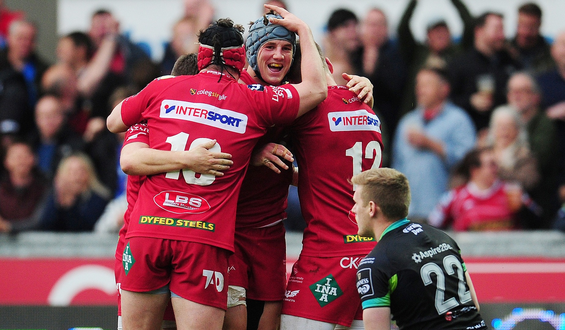 LionsWatch: Davies, Owens and Williams star as Scarlets defeat Ospreys LionsWatch: Davies, Owens and Williams star as Scarlets defeat Ospreys