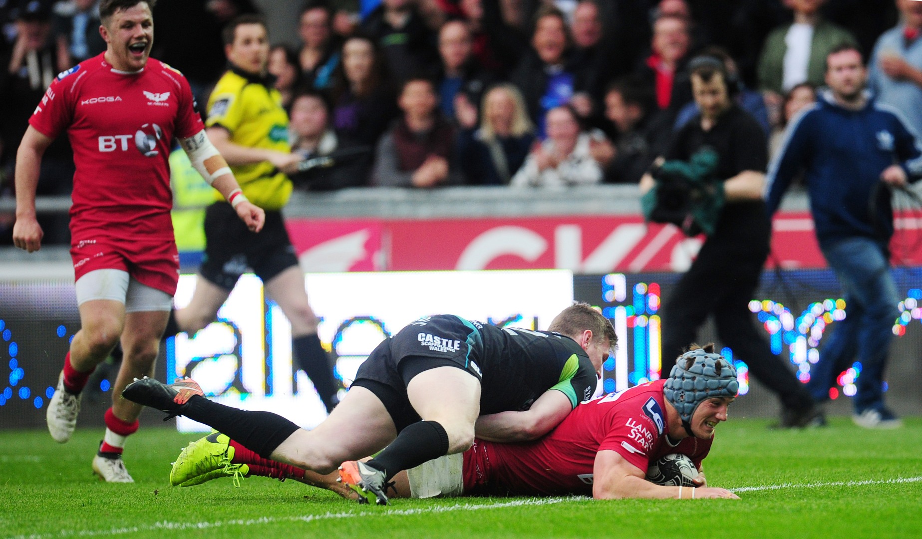 LionsWatch: Davies and Daly shine as regular season reaches dramatic conclusion LionsWatch: Davies and Daly shine as regular season reaches dramatic conclusion