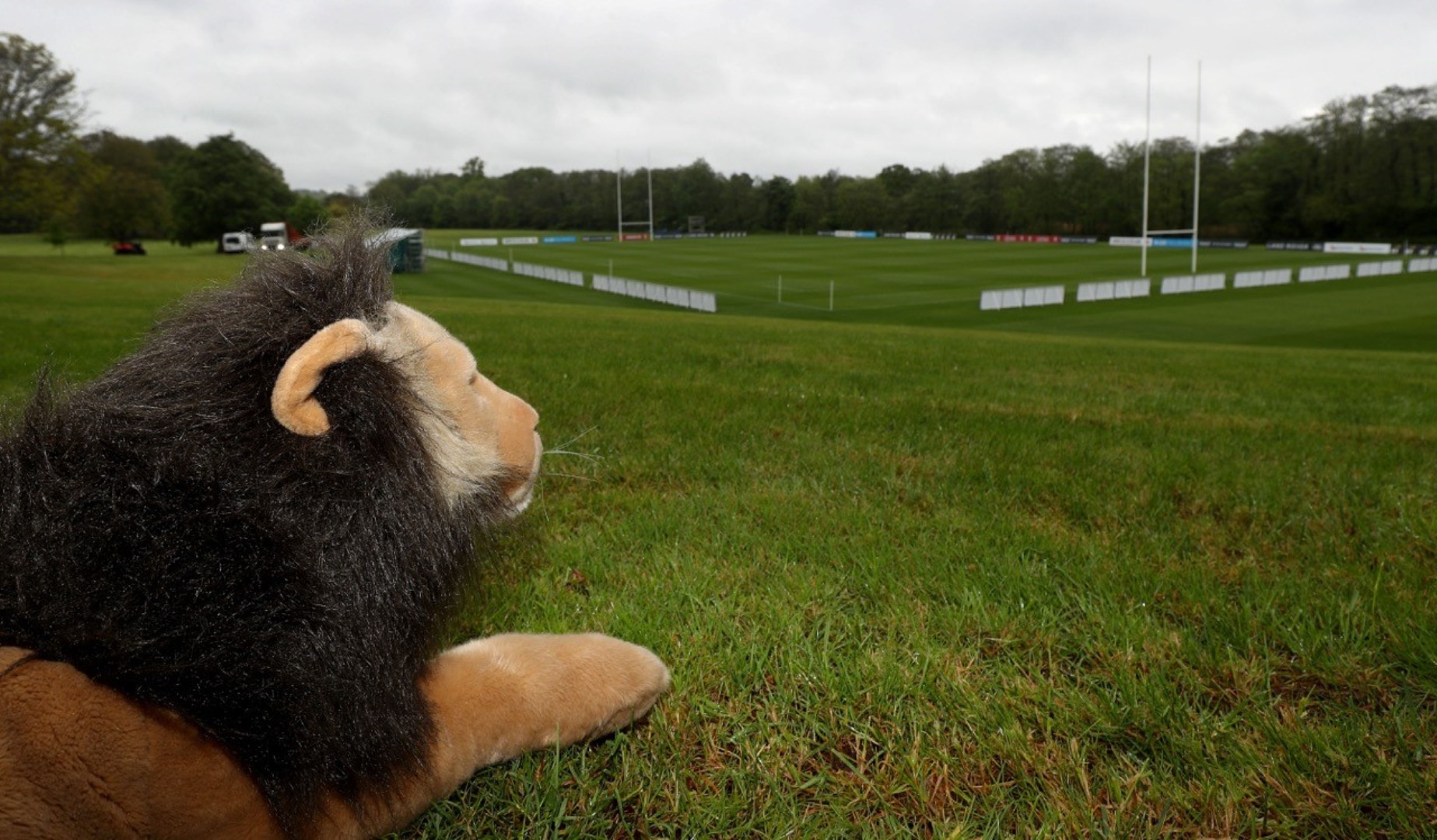 First Lions training camp begins in Wales First Lions training camp begins in Wales