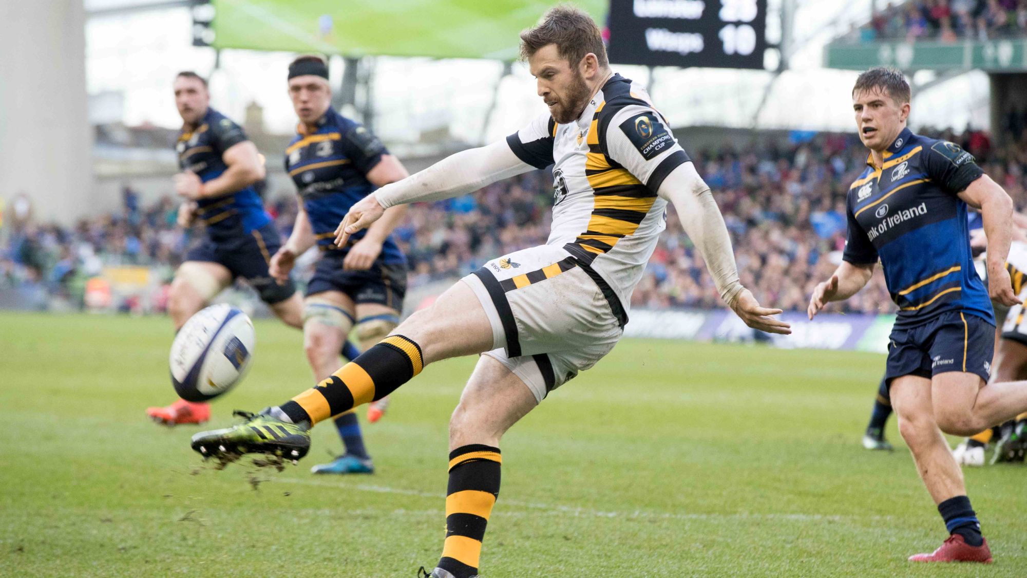 Wasps duo bid for Premiership glory Wasps duo bid for Premiership glory