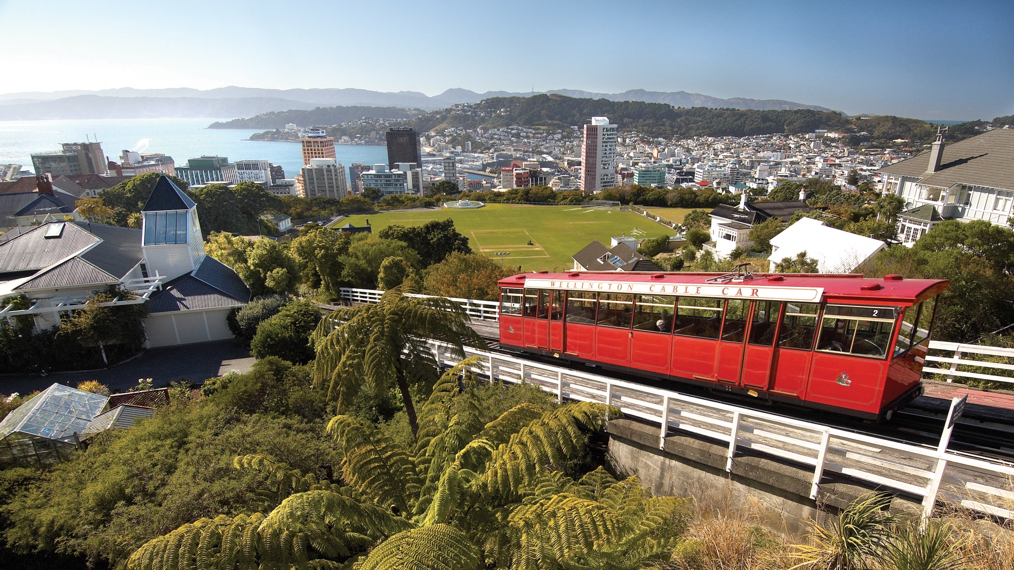 British & Irish Lions in Wellington British & Irish Lions in Wellington