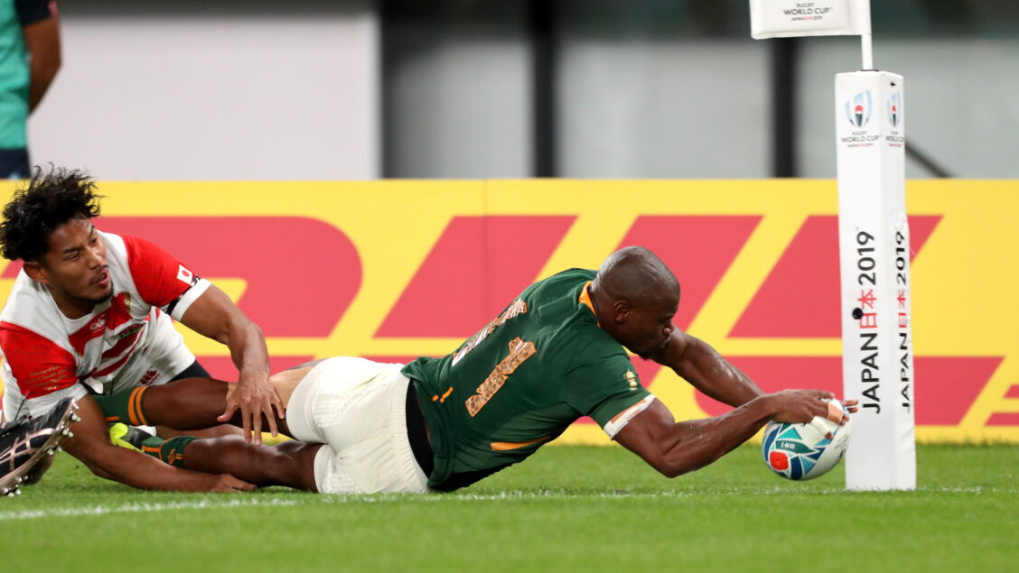 South Africa set up date with Wales South Africa set up date with Wales