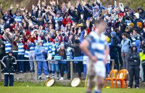 Rockwell fans during the Schools Senior Cup play-off with St Munchin's