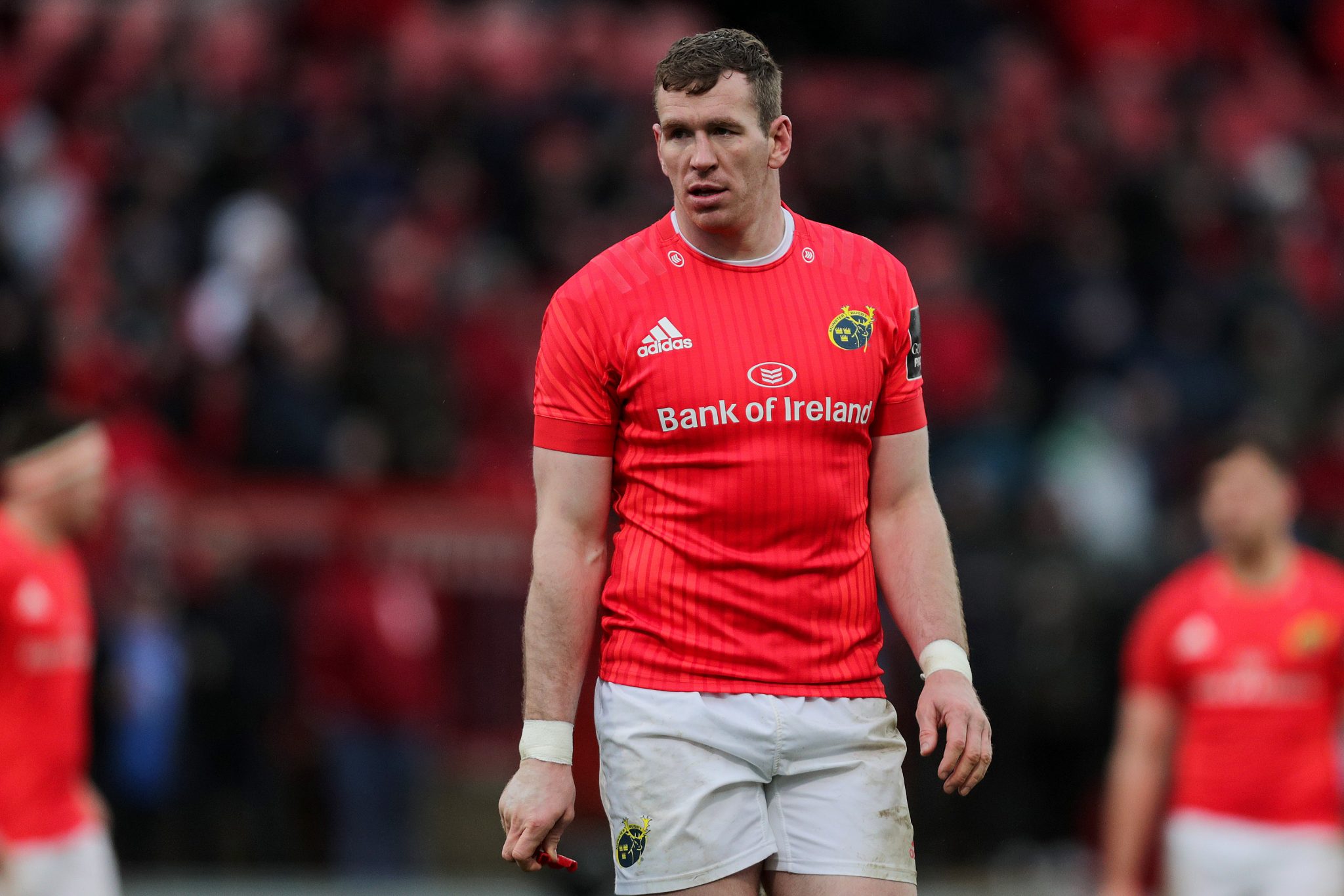 Munster Rugby Player