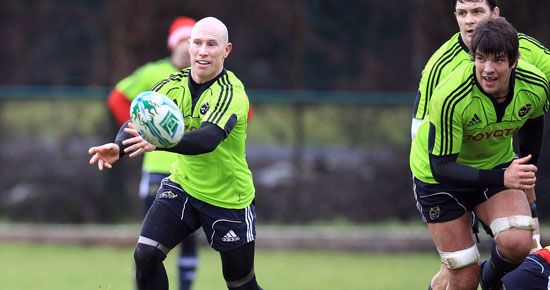 Stringer Withdrawn From Munster Squad Stringer Withdrawn From Munster Squad