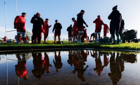 Gallery | Ospreys Preparations